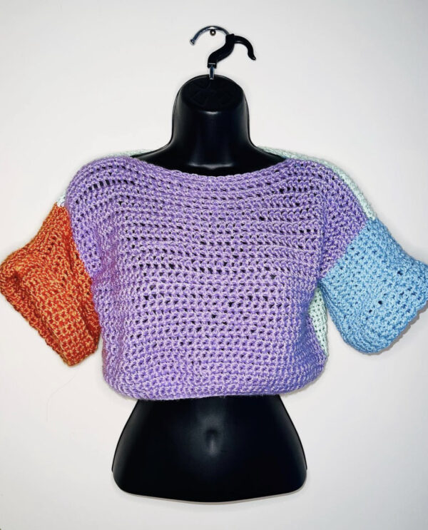 Colorblock MESH CROP Sweater (S)